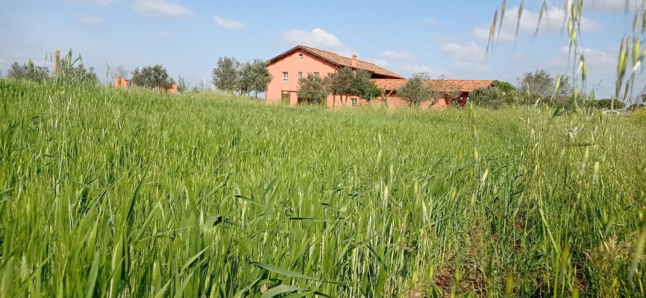Il Casale Di Giulia Di Aprilia Bed and Breakfast Exteriör bild