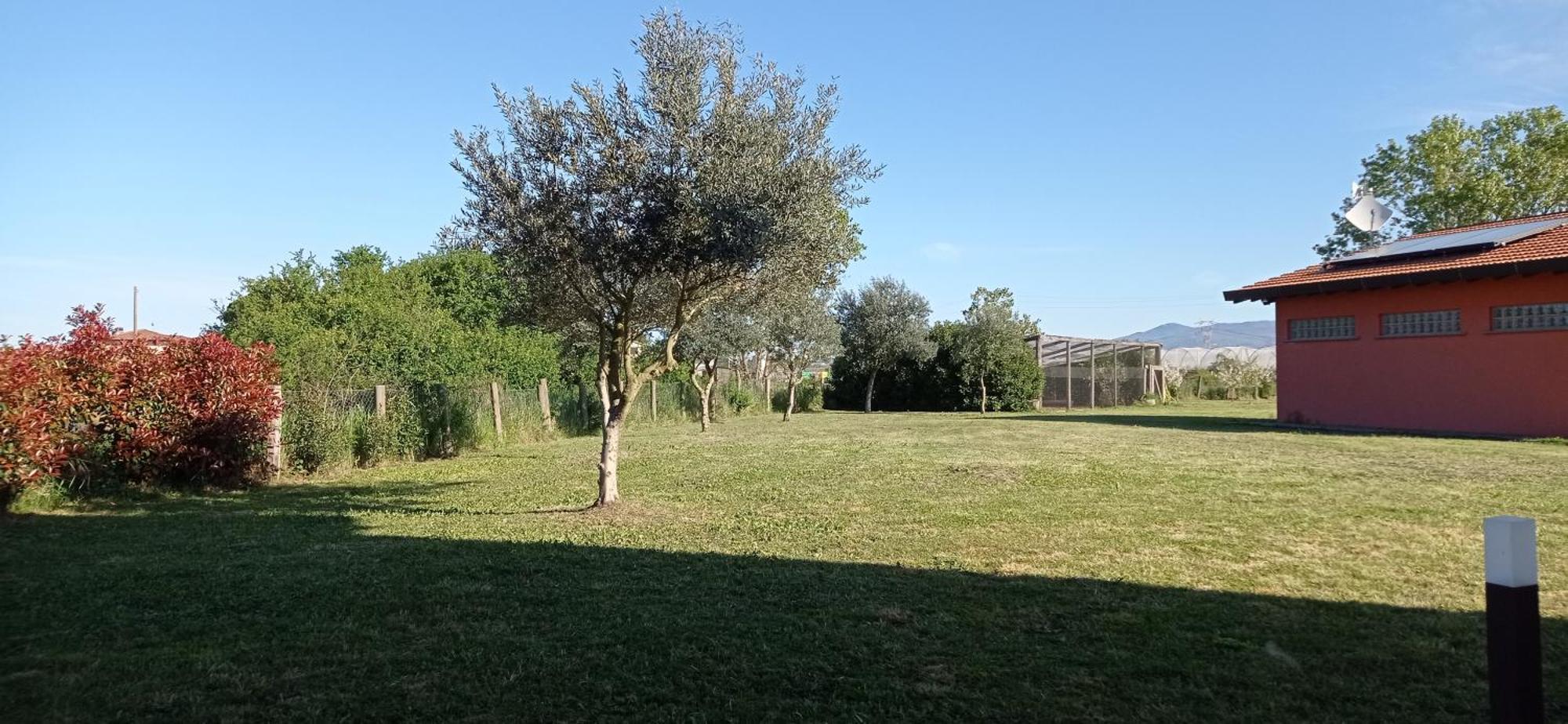 Il Casale Di Giulia Di Aprilia Bed and Breakfast Rum bild